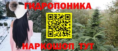 прущие грибы Свободный