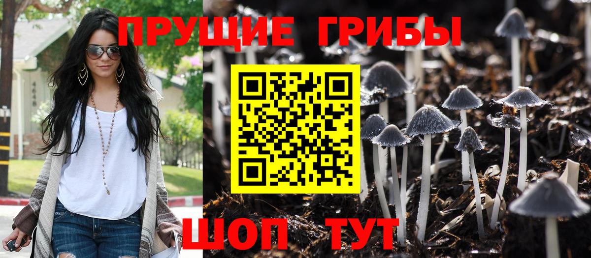 Псилоцибиновые грибы мицелий Саранск